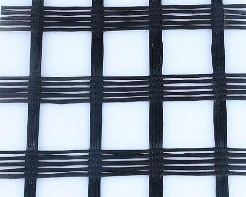 �p���w�������