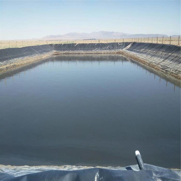 �~������Ĥ