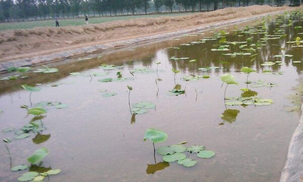 ɏź������Ĥ�a(ch��n)Ʒ��(y��u)��(sh��)